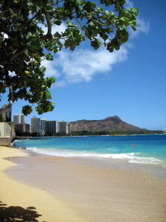 Waikiki Beach