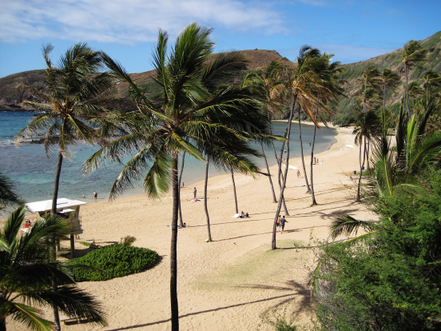 Hanauma Bay